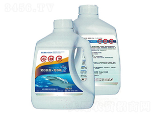 �Ⱦ��`-����