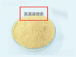 �r�ð���������-����