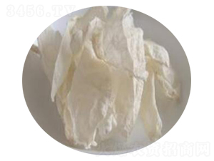 �����ǚ�����-����