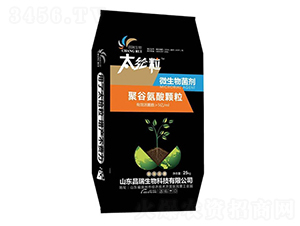 �۹Ȱ������-����