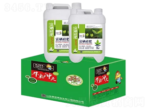 �������-�S�����B