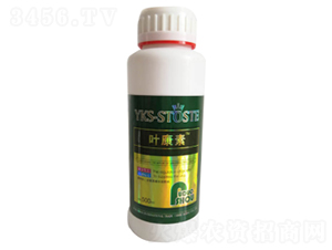 �������~���-�ն��� 