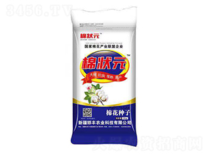 �޻��N��-�ޠ�Ԫ-���S�r�I