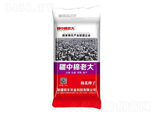 �޻��N��-�������ϴ�-���S�r�I