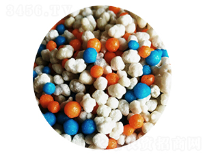 �LЧ����ጷ���26-10-10-���Դ�ʘI 