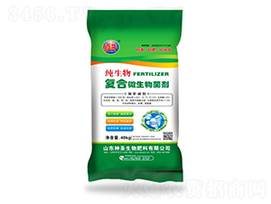 ������ͺ�΢�������-��ʥ����