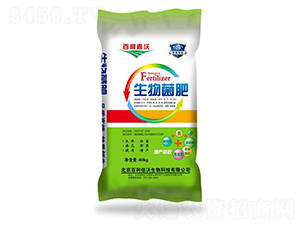 �������-��������-��ʥ����