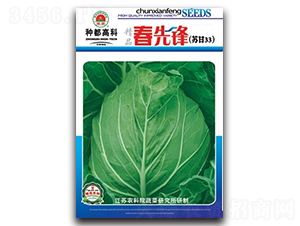 �����h-���{�N��-�߿ƷN�I