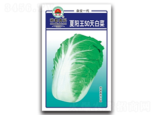 �����50��-�ײ˷N��-�߿ƷN�I