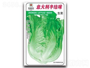 �������Y��-���˷N��-�߿ƷN�I