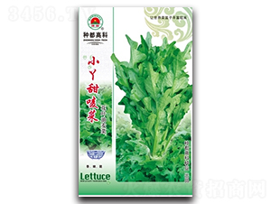 СѾ������-�����˷N��-�߿ƷN�I