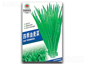 �ļ�������-�����˷N��-�߿ƷN�I