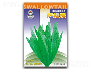 �_����-�����˷N��-�߿ƷN�I