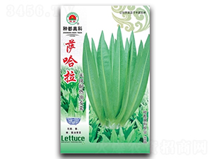 �_����-�����˷N��-�߿ƷN�I