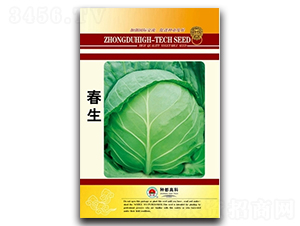 ����-���˷N��-�߿ƷN�I