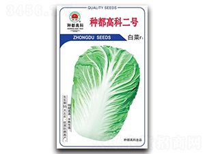 �N���߿ƶ�̖-�ײ˷N��-�߿ƷN�I