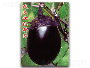 �������o����-���ӷN��-�ѹ��N�I