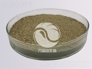 10�|�Gɫľù-�f���@����