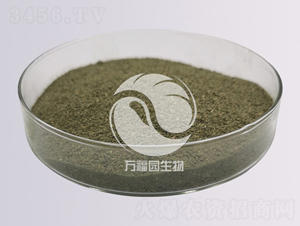 20�|�Gɫľù-�f���@����