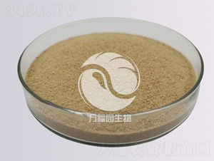 10�|����ù-�f���@����