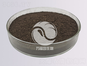 50�|����ù-�f���@����