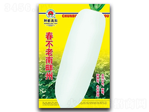 ������������-�}���N��-�߿ƷN�I