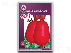 ���~�M���t-�t�}���N��-�߿ƷN�I