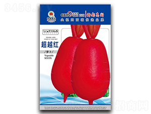 ��Խ�t-�t�}���N��-�߿ƷN�I