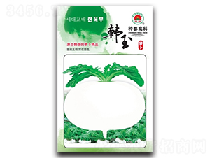 �n��-�}���N��-�߿ƷN�I