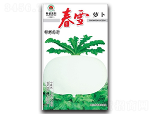 ��ѩ-�}���N��-�߿ƷN�I