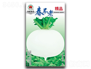 ������-�}���N��-�߿ƷN�I