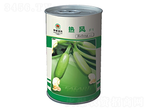 ���L-�����J�N��-�߿ƷN�I