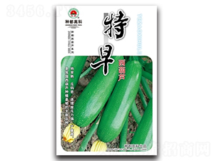 ���������J-�����J�N��-�߿ƷN�I