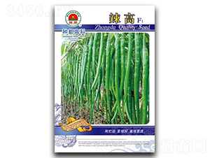 辣高-辣椒種子-高科種業