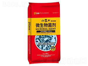 �۹Ȱ���΢�������-С����-�r��һ