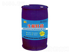 ���������-�|�r����