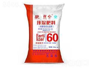 �pĤ�p�����B(t��i)��-�����ʘI(y��)