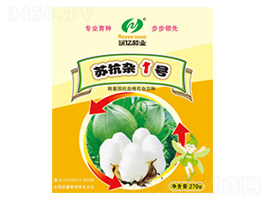 �K���s1̖-�G�|�N�I