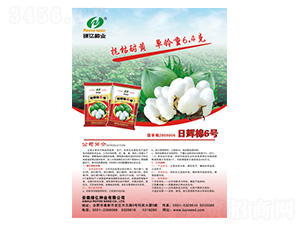 ���x��6̖-�G�|�N�I