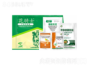 ���݄��ײ�-���Tʿ-�S�՘�