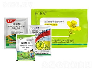 240��ÿ��ϩ��ͪ+500��ÿ���ݳ��`+30%���ȡ�������-������-�S�՘�