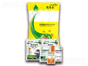 ��������݄��ײ�-����ʿ-�S�՘�(l��)