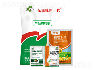 ��������һ��-�S�՘�(l��)