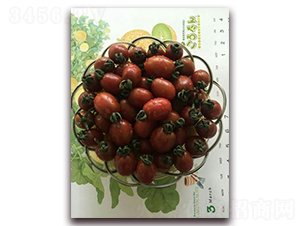 ��С��-���ѷN��-���\�N��