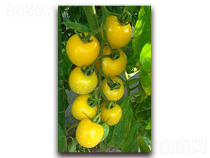 �S�����ͷ���-���ѷN��-���\�N��