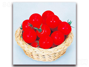 �t��С����-���ѷN��-���\�N��