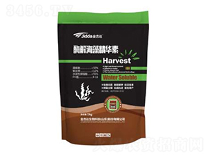 ø�⺣�徫�A��-���_ 