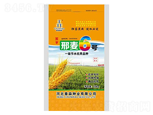 邢麥6號-春淼種業