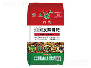 ����l���-�Ʋ�����