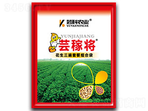 ���������ײͽM�ϴ�-�|�ڌ�-�|���r�I